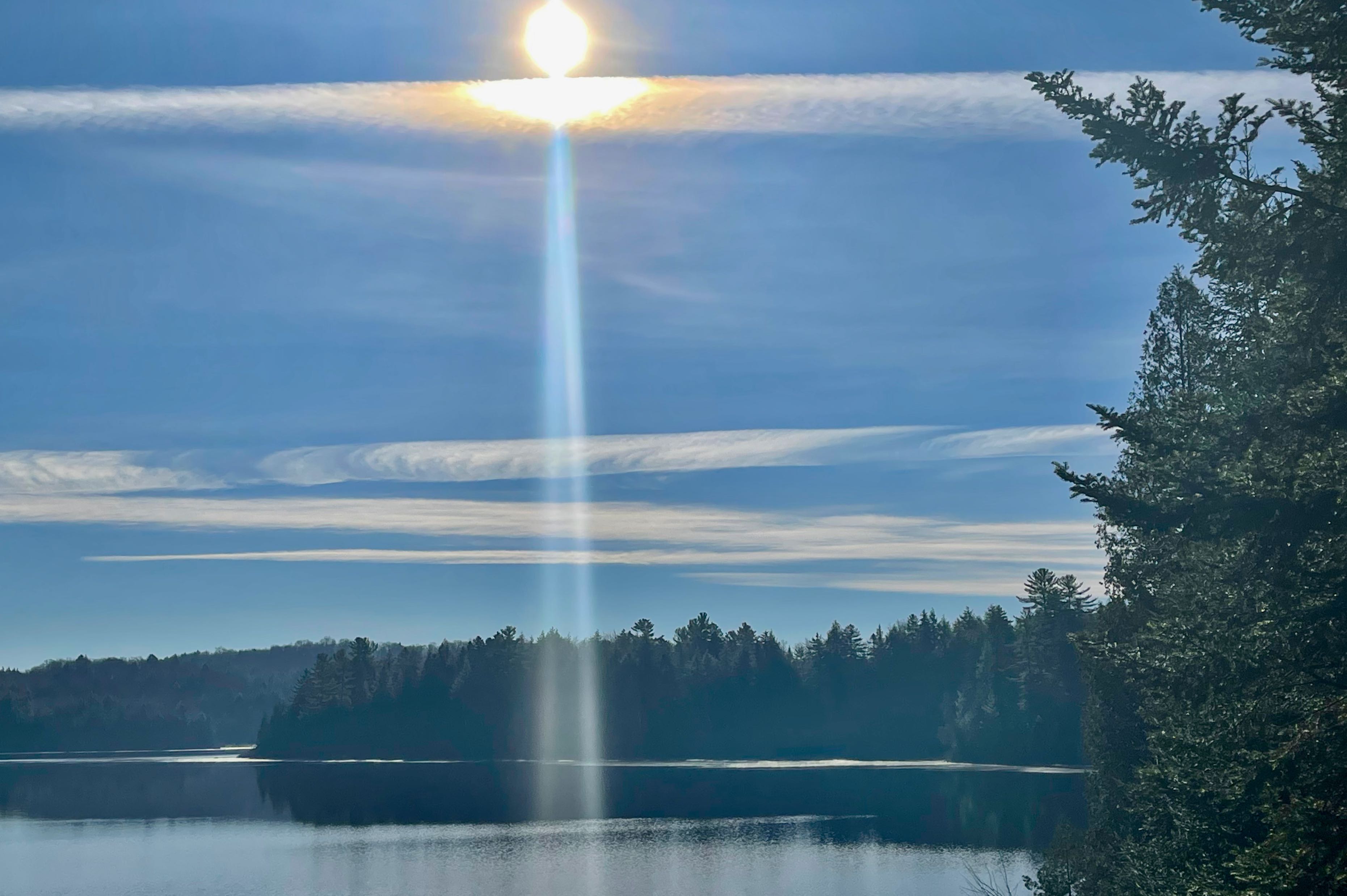 Cub photo 2023 parc regard sur le fleuve Nicole Mongeon-Cardin La lumière surnaturelle de l'Ange 100x70cm (26x38po)